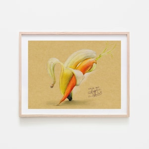 Bleistift Zeichnung - DRUCK - Tanzende Banane und Karotte - Prints on Demand - Obst Illustration - Lustige Skizze - Lustige Geschenkidee