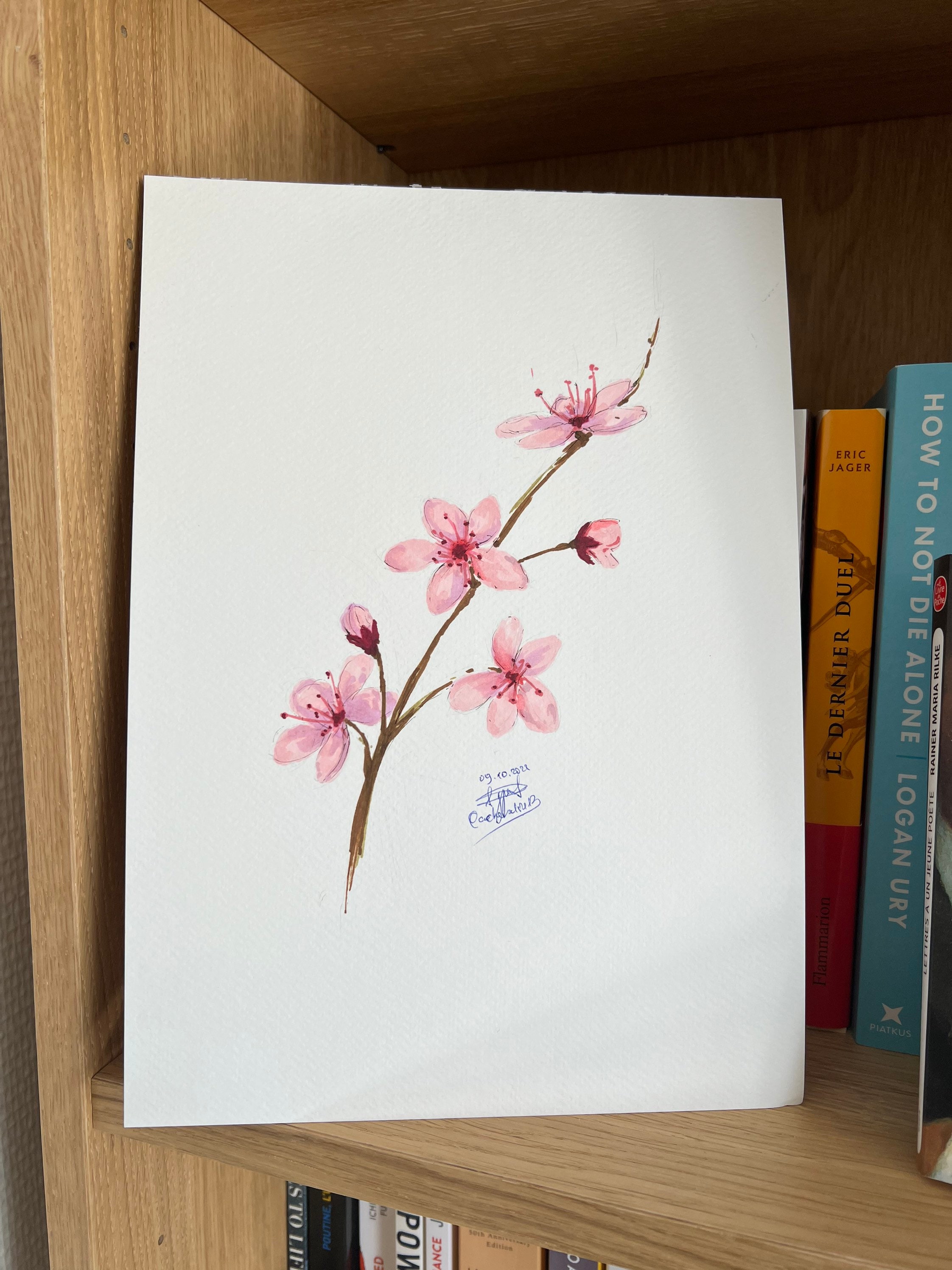 【フカヒレ】直筆サインA3複製原画 桜色りぼん Sakura Flower - Pencil Drawing - PRINT - Etsy