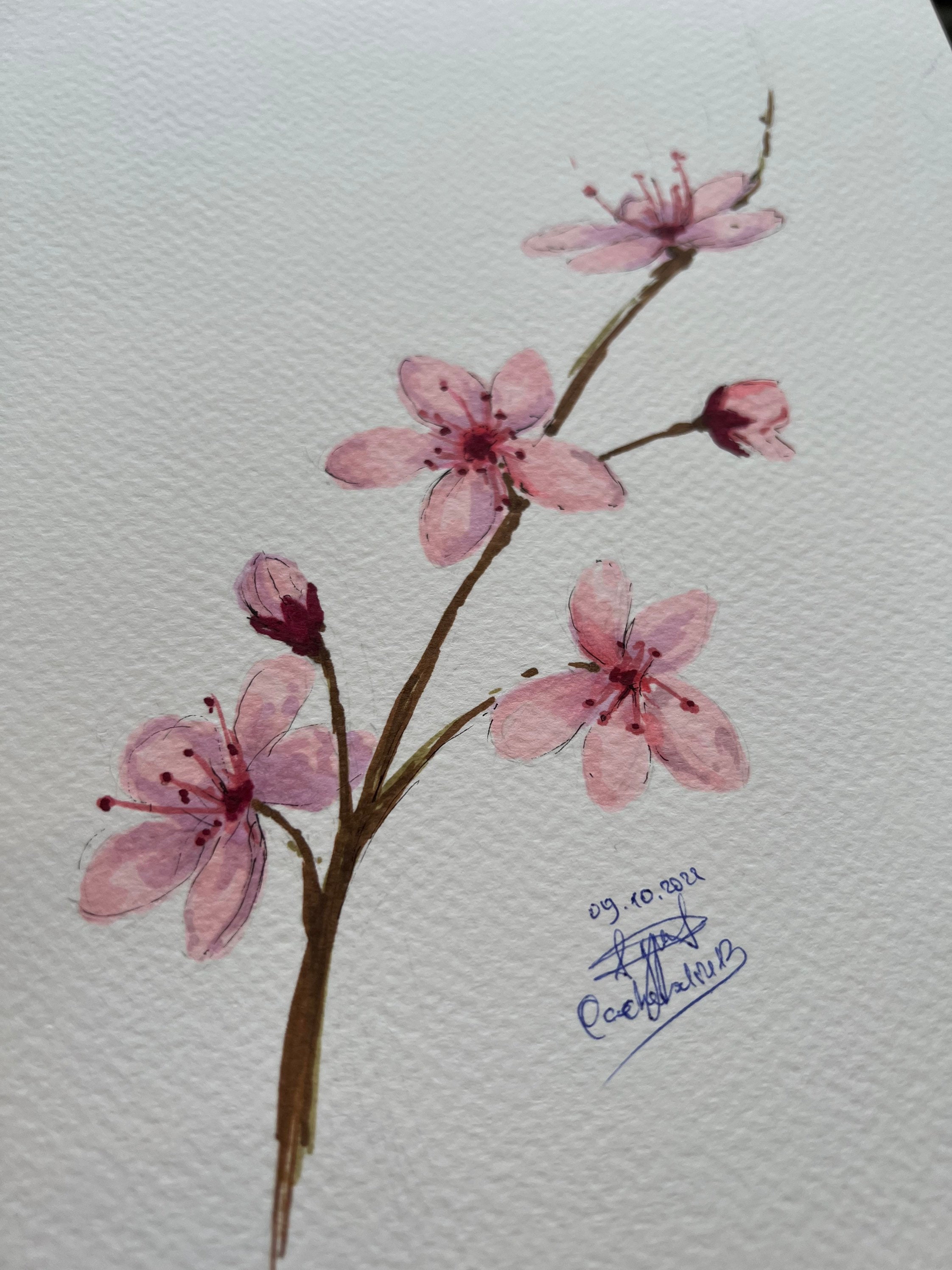 ポストカードサイズ 色鉛筆画 水彩画 5枚セット 花シリーズ