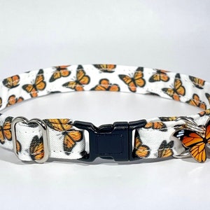 Cat Collar- "Monarch Butterfly" Adjustable Breakaway Safety Quick-Release Collar, butterflies, orange, bug, girly, summer, spring, gardening
