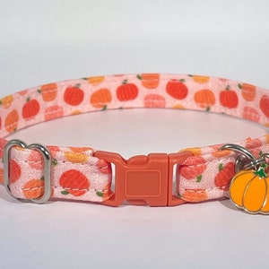 Cat Collar- “Pumpkin Patch&quot; Adjustable Breakaway Safety Quick-Release Collar, fall, autumn, cute, pumpkins, harvest, Halloween, Thanksgiving