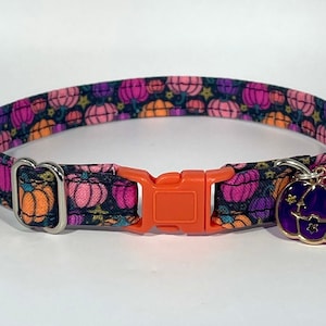 May include: A black cat collar with a pumpkin print and an orange buckle. The collar has a purple pumpkin charm with gold stars.