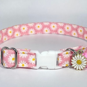 Collar para gatos - "Pink Daisies" Collar de seguridad ajustable con liberación rápida y desprendible, margarita, floral, flores, suave, primavera, primavera, bonito, dulce