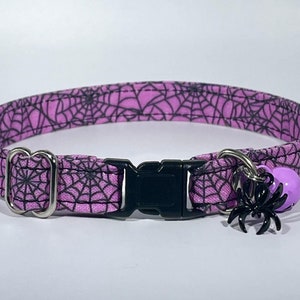 May include: A purple cat collar with a black spiderweb pattern and a black spider charm with a purple bell.