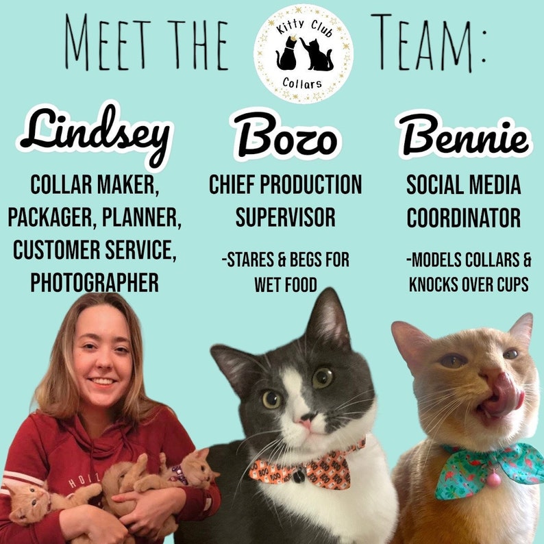 Puede incluir: Un equipo de tres personas que trabajan para una empresa llamada "Kitty Club Collars". Lindsey es la fabricante de collares, la empaquetadora, la planificadora, la responsable de atenci&oacute;n al cliente y la fot&oacute;grafa. Bozo es el supervisor jefe de producci&oacute;n y mira fijamente y ruega por comida h&uacute;meda. Bennie es el coordinador de redes sociales y modela collares y derriba tazas.