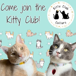 Collar de gato- "Flores silvestres" Collar de liberación rápida de seguridad ajustable, floral, flor, rosa, girasol, flores, rosa, margarita, lindo imagen 9