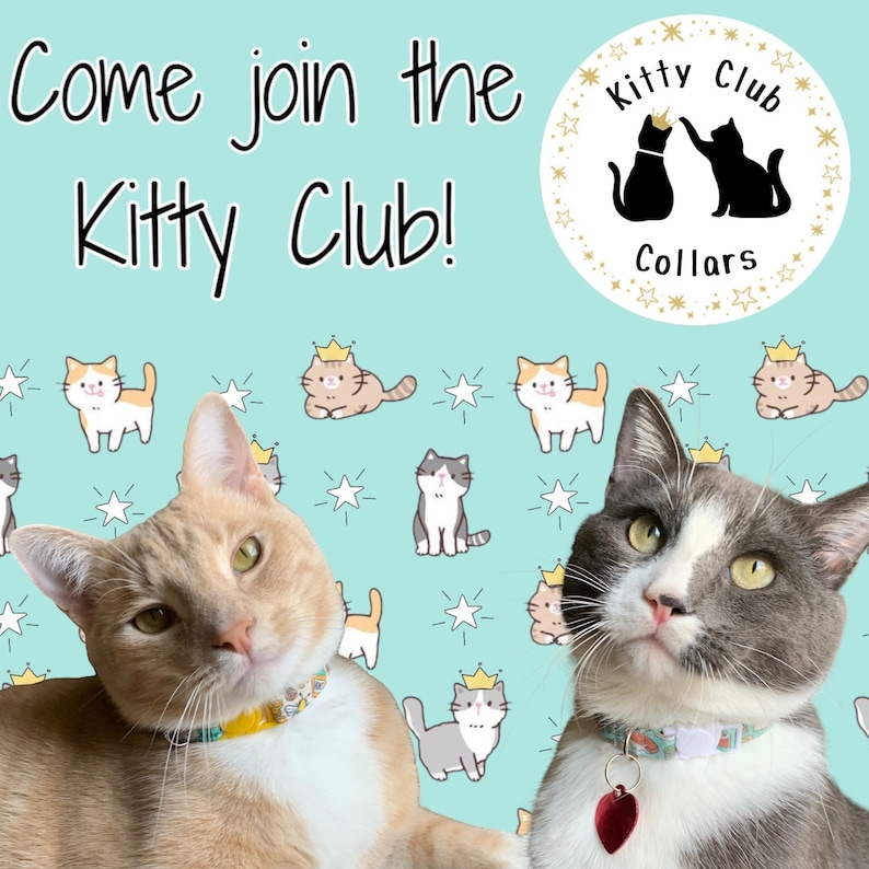 Collar de gato- "Flores silvestres" Collar de liberación rápida de seguridad ajustable, floral, flor, rosa, girasol, flores, rosa, margarita, lindo imagen 9