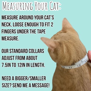 Puede incluir: Primer plano del cuello de un gato que se mide con una cinta m&eacute;trica. El texto dice "MEASURING YOUR CAT: MEASURE AROUND YOUR CAT'S NECK, LOOSE ENOUGH TO FIT 2 FINGERS UNDER THE TAPE MEASURE. OUR STANDARD COLLARS ADJUST FROM ABOUT 7.5IN TO 12IN IN LENGTH. NEED A BIGGER/SMALLER SIZE? SEND ME A MESSAGE!"