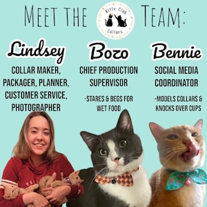 Puede incluir: Un equipo de tres personas que trabajan para una empresa llamada "Kitty Club Collars". Lindsey es la fabricante de collares, la empaquetadora, la planificadora, la responsable de atenci&oacute;n al cliente y la fot&oacute;grafa. Bozo es el supervisor jefe de producci&oacute;n y mira fijamente y ruega por comida h&uacute;meda. Bennie es el coordinador de redes sociales y modela collares y derriba tazas.