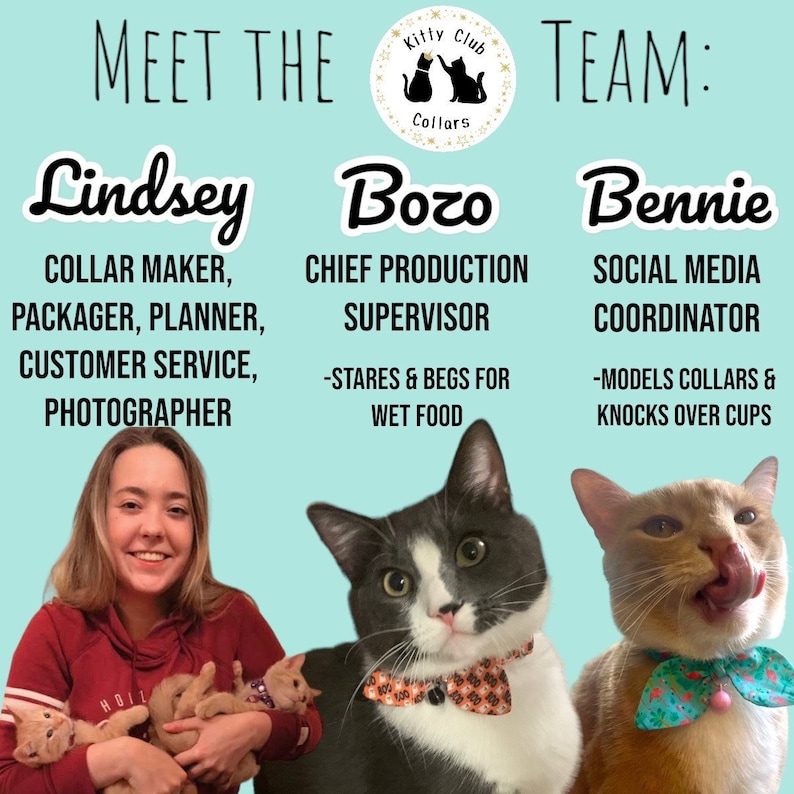 Puede incluir: Un equipo de tres personas que trabajan para una empresa llamada "Kitty Club Collars". Lindsey es la fabricante de collares, la empaquetadora, la planificadora, la responsable de atenci&oacute;n al cliente y la fot&oacute;grafa. Bozo es el supervisor jefe de producci&oacute;n y mira fijamente y ruega por comida h&uacute;meda. Bennie es el coordinador de redes sociales y modela collares y derriba tazas.