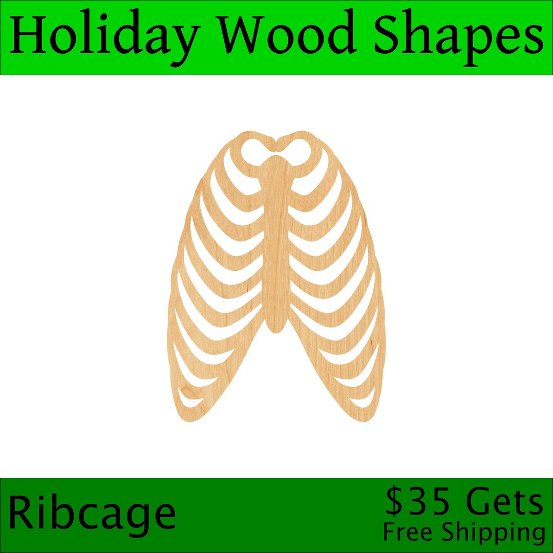 Laser Cut Ribcage Wood Blank, Crafting Supplies, Wooden Cutouts, DIY ...