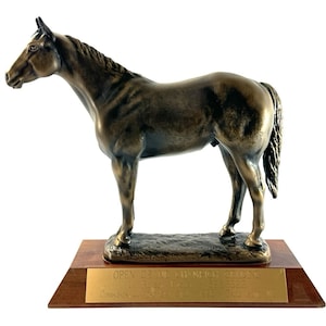 Aqha Trophy - Etsy