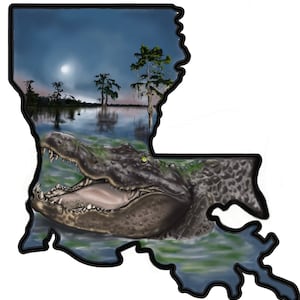 The Bayou