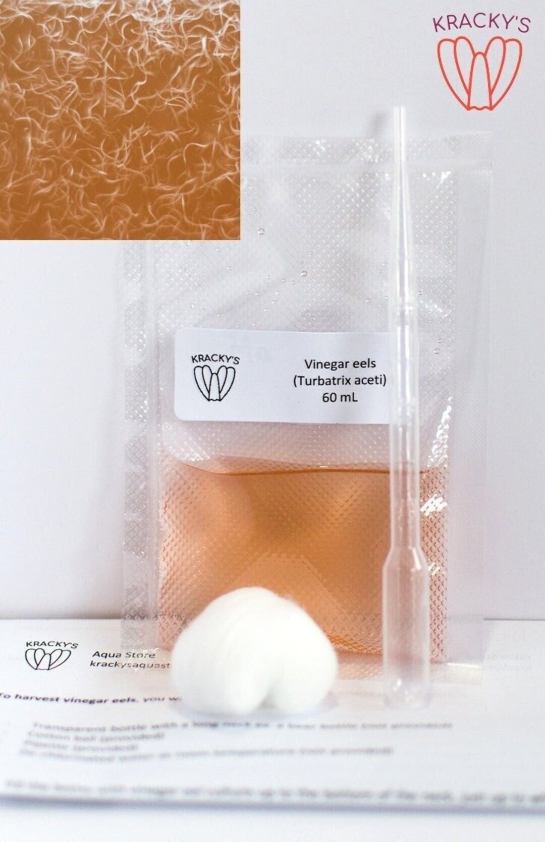 Vinegar Eels. YEARROUND Live Delivery. Etsy Canada