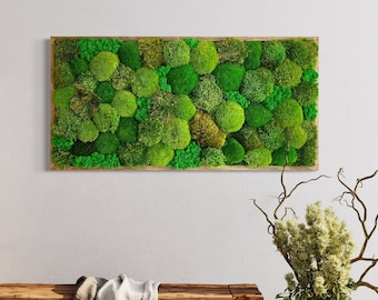 Oak Framed Moss Wall Art, Botanical Living Wall Decor