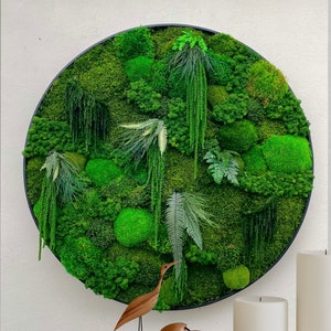 Moss Wall Art.  Circle Moss Art.  Preserved Moss Art.  Green wall Art.  Vertical Garden