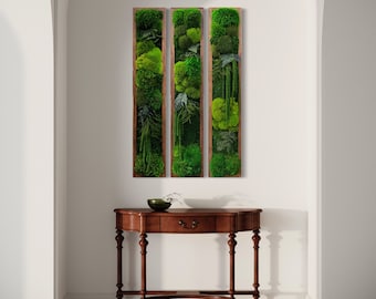 Framed Moss Wall Art: Nature Inspired Botanical Decor.  Moss Panels