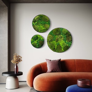 Moss Circle.  Natural home decor.  Framed Moss Art.  Garden Wall.  Wall hangings with preserved moss and plants