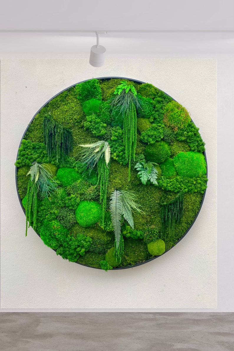 Moss Wall Art. Circle Moss Art. Preserved Moss Art. Green Wall Etsy