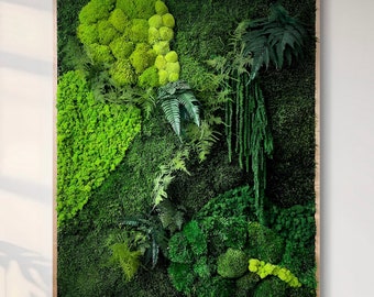 Moss Wall Art.  Framed Moss Decor. Botanical art.  Planted moss wall.  Nature Wall Decor with plants