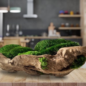 Moos-Schale, einzigartige Form Holzschale, Tischdekoration