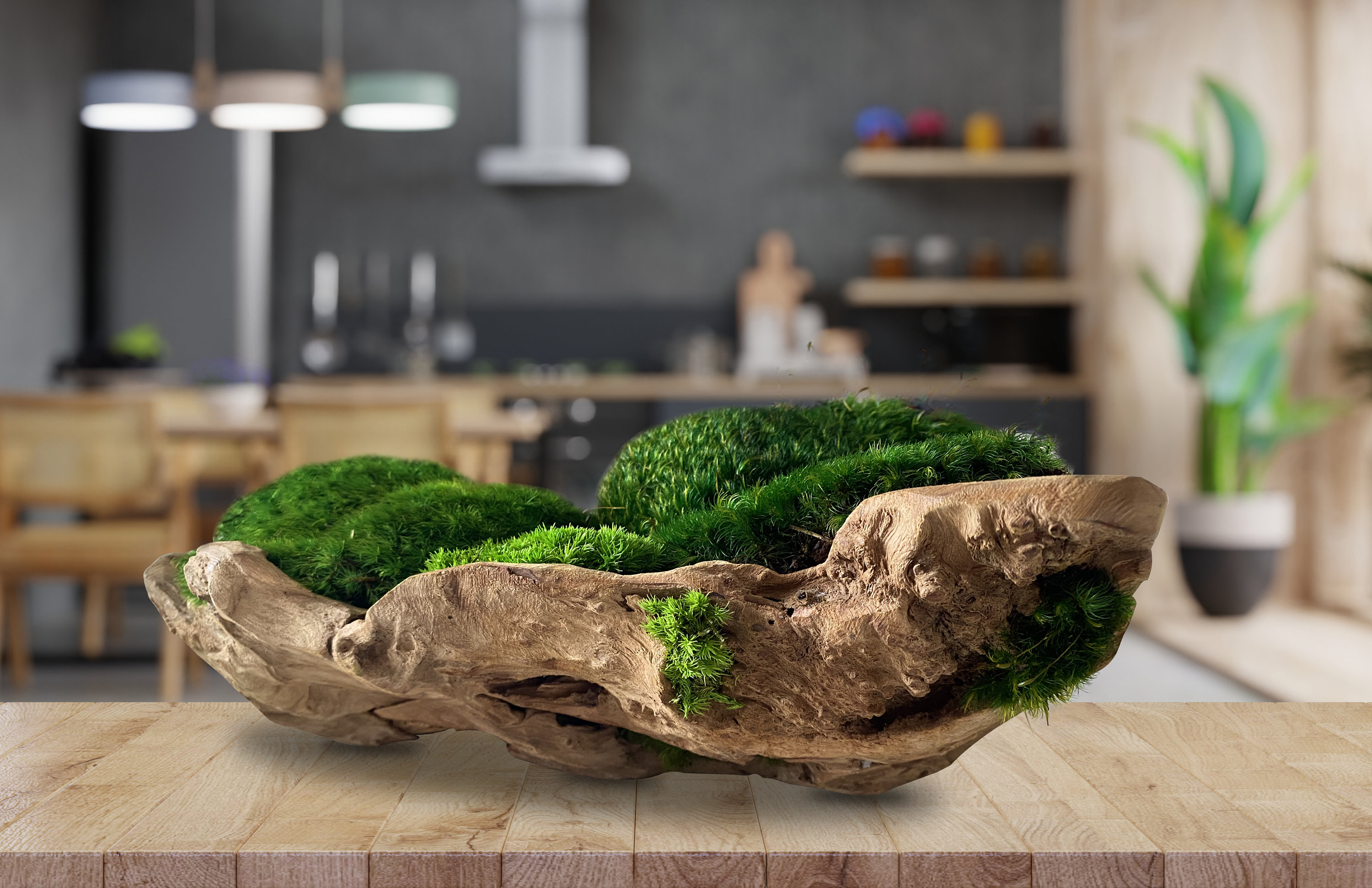 Moss Bowl Centerpiece, Unique form Wood bolw, table centerpiece