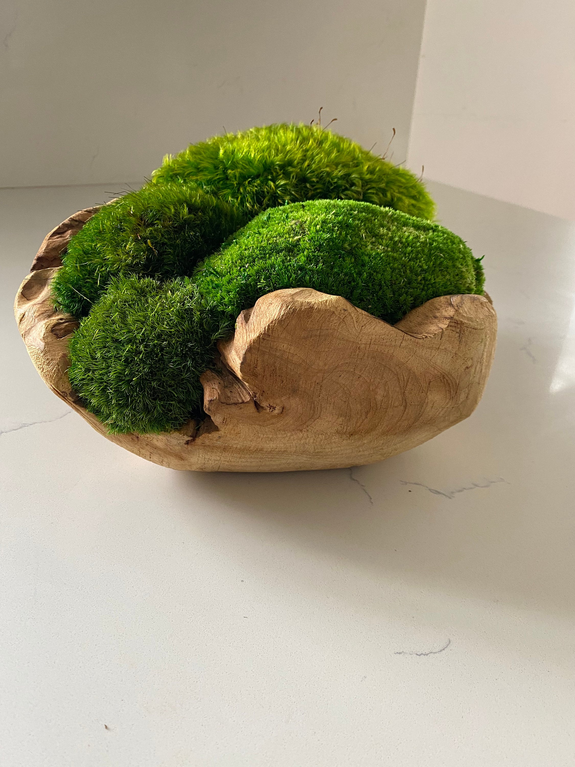 Moss Bowl Centerpiece Unique Form Wood Bolw Table Etsy