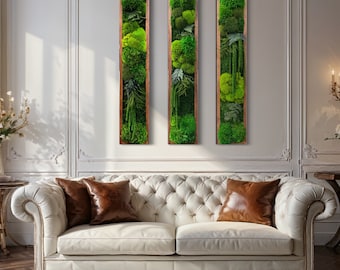 Moss Art. Wall Hangings.  Nature Inspired Decor. Vertical Garden. Botanical Wall Art.  Elegant Art panels with moss and plants.