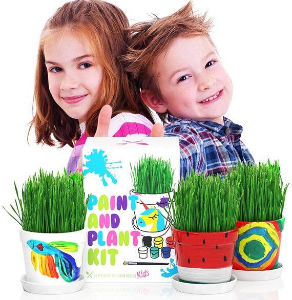 Paint and Plant Kids Gardening Set Kids Gardening Kit Art and Craft Sets  Paint and Plant Flower Growing Kit Flower Craft Kits for Kids 