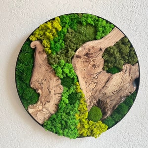 18” Preserved Moss Wall Art Circle, Rounded Framed Moss with Wood, Holiday Gift, Greenery Nature, Biophilic Home Office Decor, CUSTOM