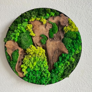 2ft 24&#39;&#39;Preserved Moss Wall Art Circle, Rounded Framed Moss with Wood, Mother&#39;s Day Gift, Greenery Nature, Biophilic Home Office Decor
