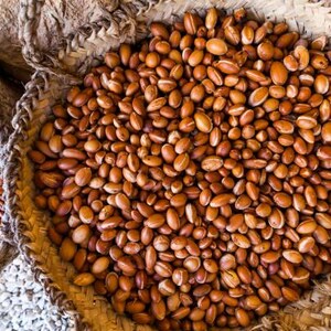 May include: Overhead shot of two woven baskets filled with brown argan nuts. The nuts are oval-shaped and have a light brown color. The baskets are made of a light-colored woven material.