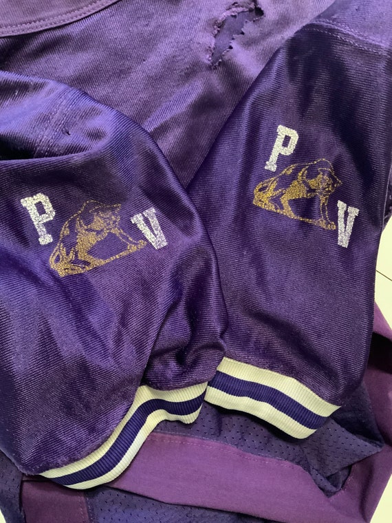 VTG Russell Athletic Swac Prairie View A&M Panthe… - image 8