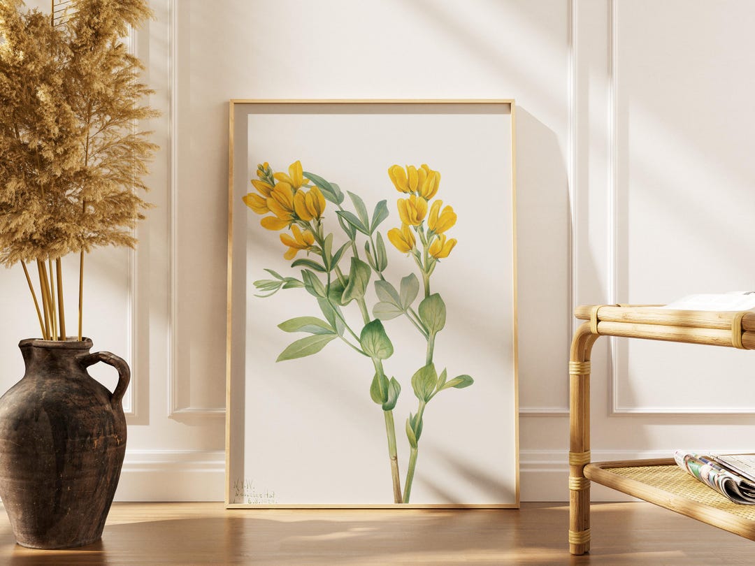 Vintage Botanical Art | Yellow Flower Wall Decor | Cottagecore Room ...