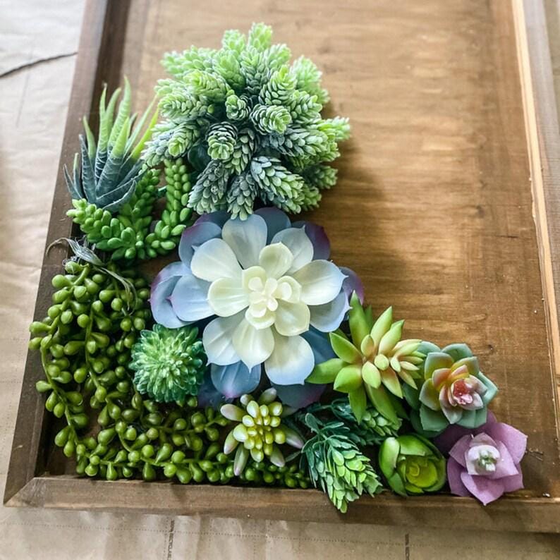 Unpotted Succulents - Etsy
