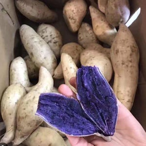 May include: A collection of white-skinned sweet potatoes with a vibrant purple interior. One sweet potato is cut open, revealing the deep purple flesh. The potatoes are in a cardboard container.