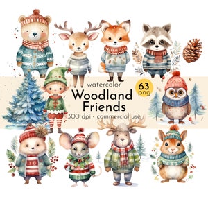 Clipart Noël des amis des bois, aquarelle hiver animaux Noël, graphique PNG, faire-parts de vacances - téléchargement immédiat - usage Commercial