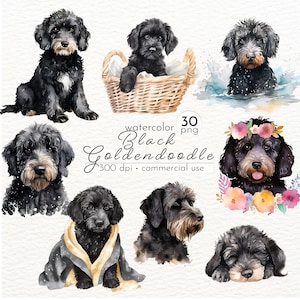 Black Goldendoodle Clipart, Watercolor Dog Art, Black Goldendoodle Digital Art, Dog Lover Clip Art - Instant Download - Commercial Use