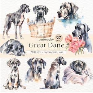 Great Dane Clipart, Watercolor Dog Art, Great Dane Digital Art, Dog Lover Clip Art - Instant Download - Commercial Use
