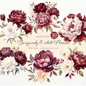 Burgundy Peony Clipart: Summer Flower PNG Images (Commercial Use)