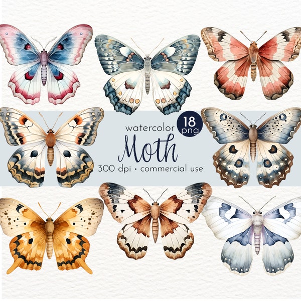 Moth Clipart, Watercolor Insects, Painted Moths, Rustic Organic Moth - Instant Download - Commercial Use