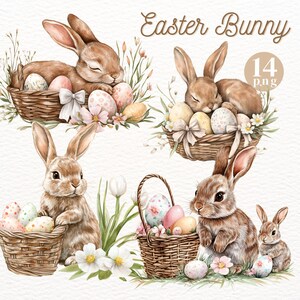 Easter Bunny Clipart: Brown Bunny, Eggs, Basket (Commercial Use) (Instant Download)
