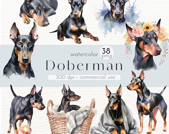 Watercolor Doberman Clipart: 38 PNG Dog Images (Commercial Use)