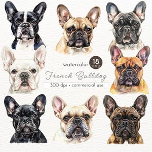 Französische Bulldogge Clipart, Aquarell Hund, Französische Bulldogge Kunst, Geschenke für Hundeliebhaber Clip Art - sofortiger Download - kommerzielle Nutzung