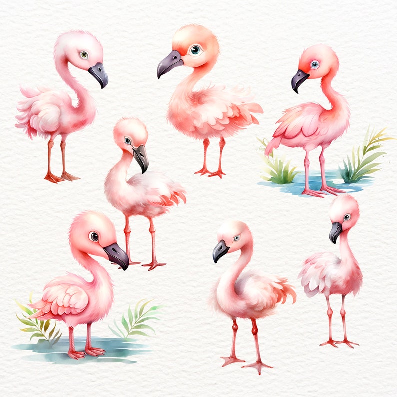 Baby Flamingo Clipart, Bird Clip Art, Tropical Flamingo, Watercolor ...