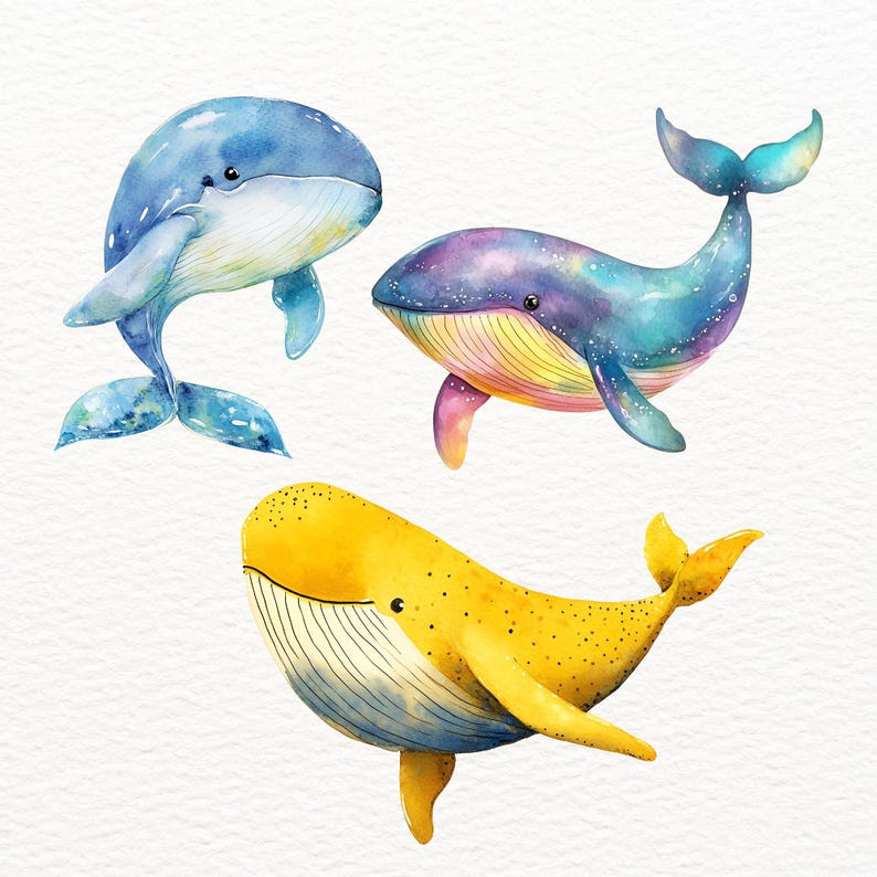 Watercolor Whale Clipart: Sea Animals Art (PNG, Commercial Use) - Etsy