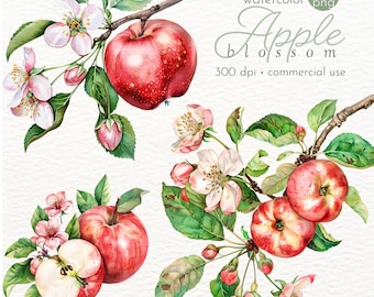 リンゴの花のクリップアート：水彩画の花の枝のイラスト（商用利用