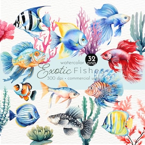 Exotische Fische Clipart, Aquarell Fisch Clipart, Babyparty, Tropischer Fisch Kunst - Instant Download - Kommerzielle Nutzung