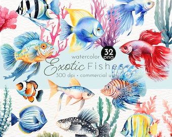 Clipart de peixes exóticos em aquarela: Arte PNG tropical (download instantâneo)