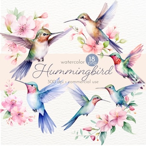Watercolor Hummingbird Clipart: Rainbow Bird Graphics (Commercial Use, Instant Download)